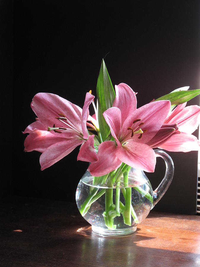 Flower Photograph - Pink Lilies by Jeannette Scranton