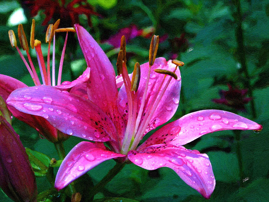 Pink Lily Painting by Dean Wittle