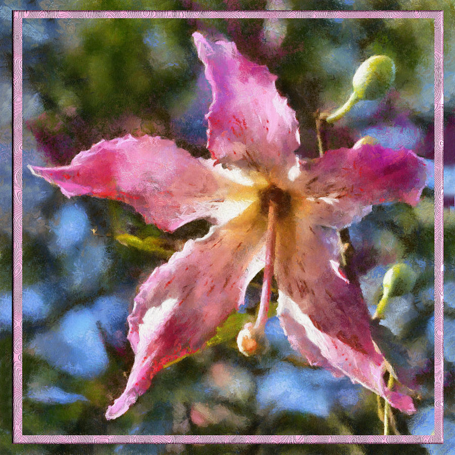 Pink Lily Flower Digital Art by Charmaine Zoe