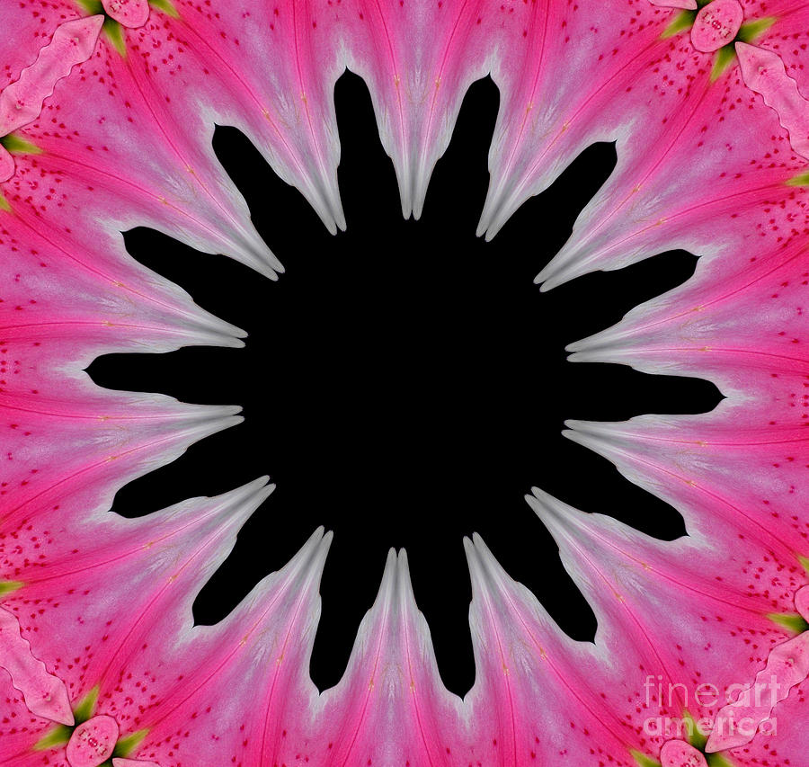 Pink Lily Kaleidoscope Black Hole Photograph by Rose Santuci-Sofranko