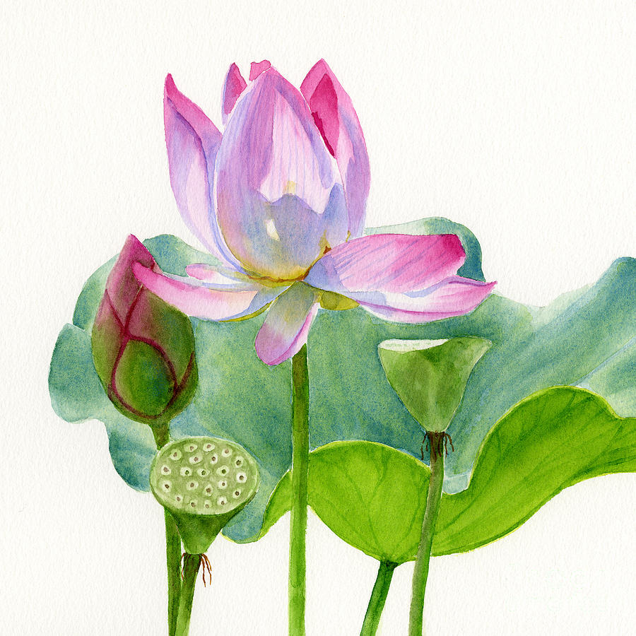 Lotus Blossom Style