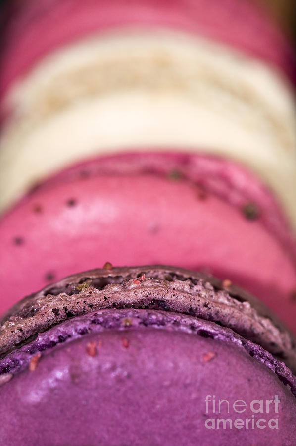 Pink macarons Photograph by Delphimages Photo Creations