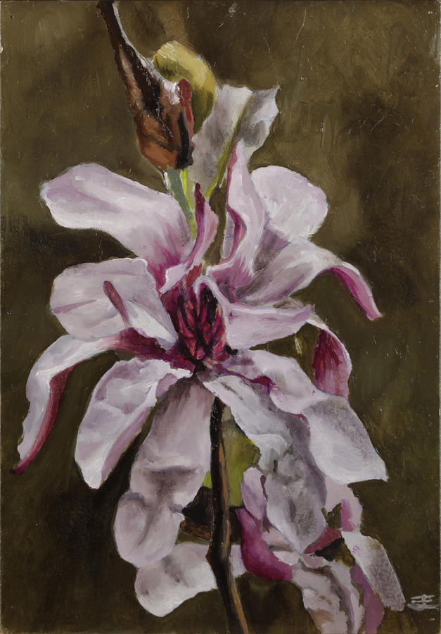 Pink Magnolia Painting by Jolante Hesse