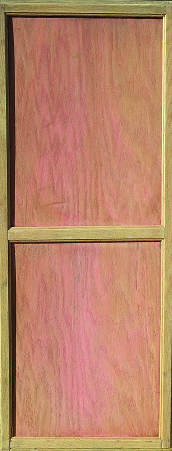 Pink Mahogany Blush Cabinet Door Painting by Asha Carolyn Young