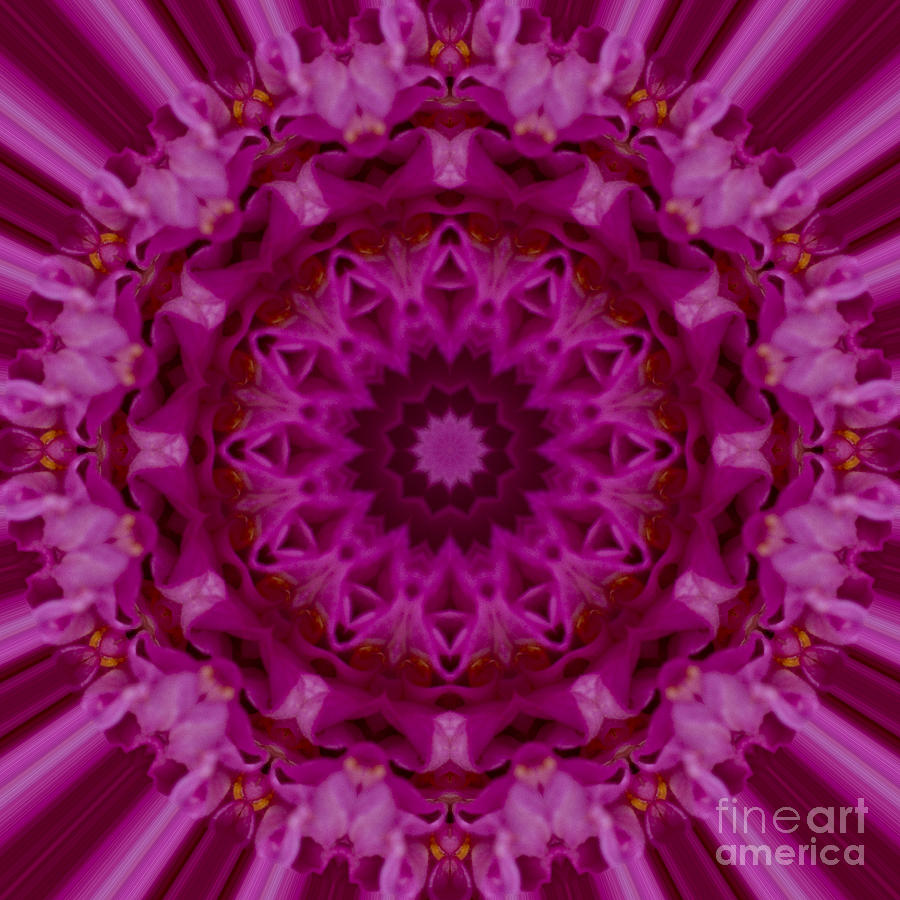 Pink Mandala Image 1 Photograph by Carrie Cranwill