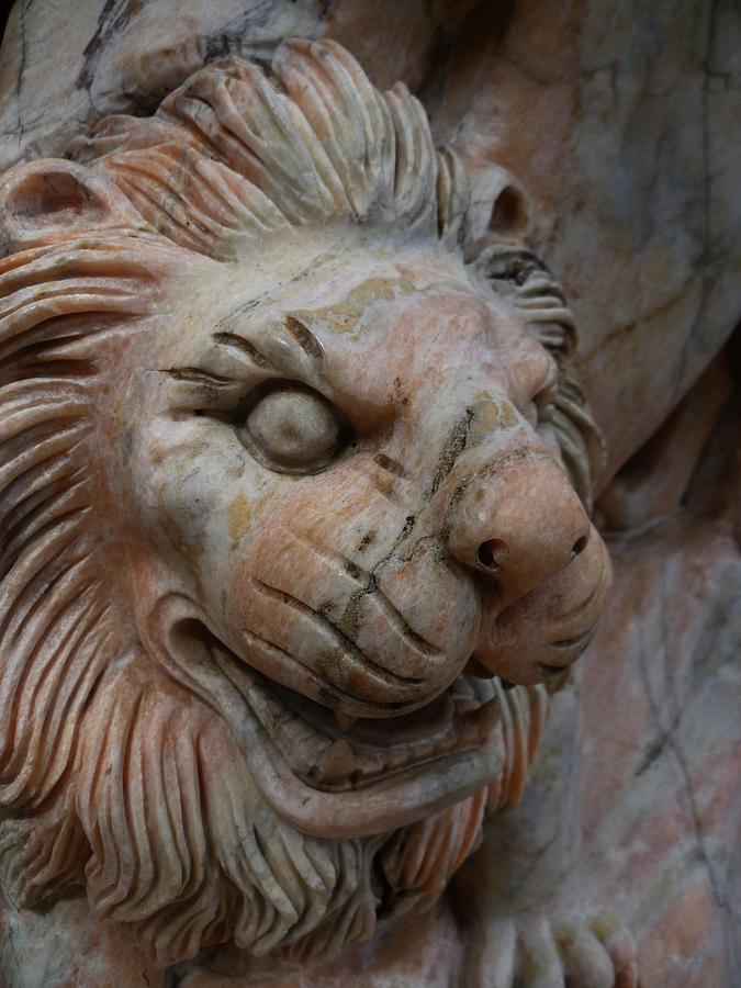 Pink Marble Lion Photograph by Gregory Smith - Fine Art America