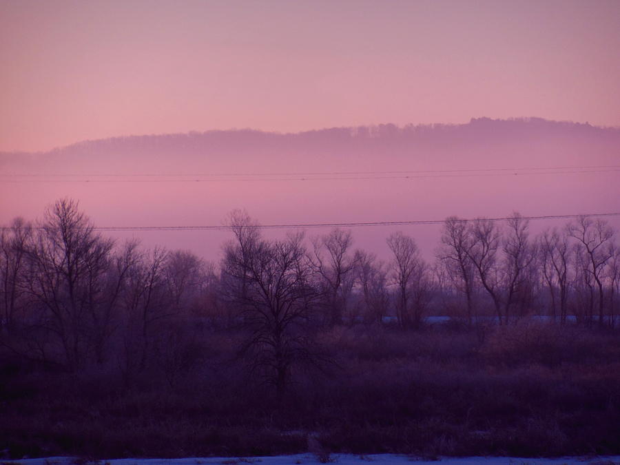 REDUCED Pink Mist Morning Photograph by Wild Thing