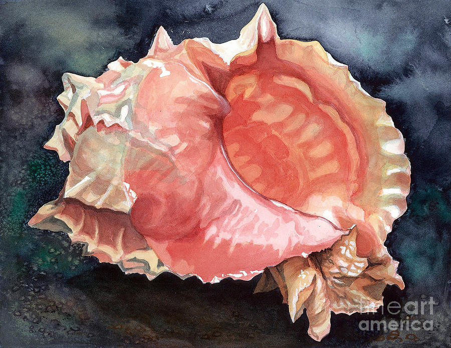 Shell Painting - Pink-mouthed Murex by Barbara Jewell