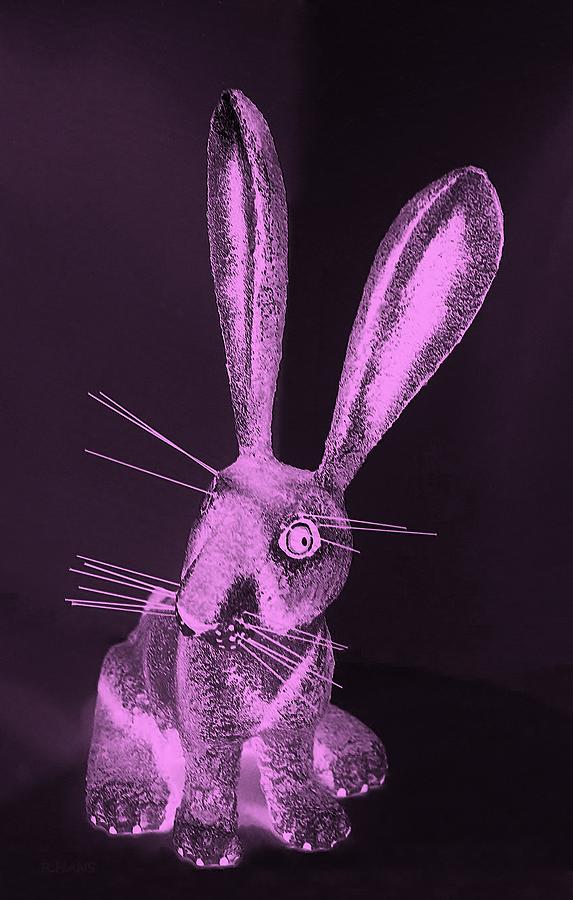 Pink New Mexico Rabbit Photograph by Rob Hans