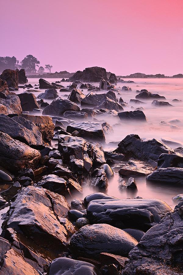 Pink Odiorne Sunrise  Photograph by Jeff Sinon