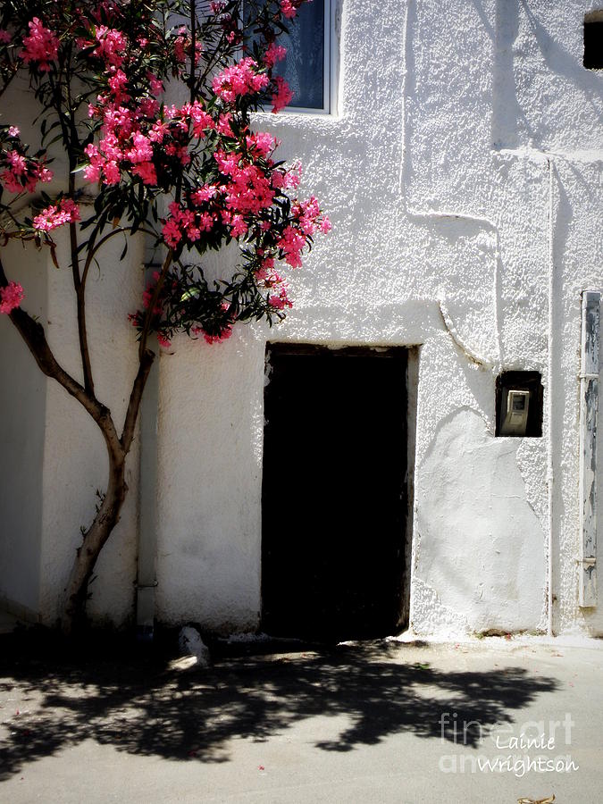 Pink Oleander by the Door Photograph by Lainie Wrightson