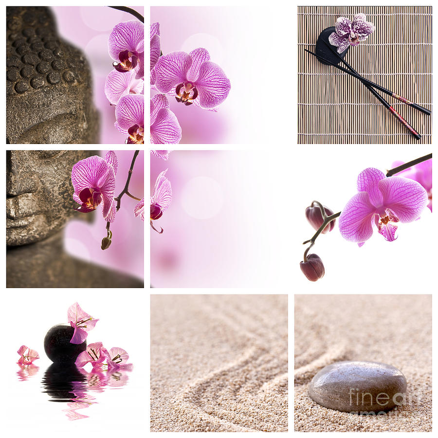 Buddha Photograph - Pink orchid and Buddha collage by Delphimages Photo Creations