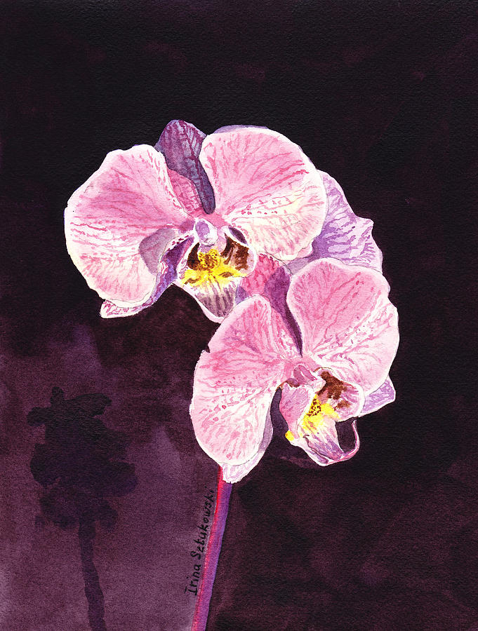 Pink Orchid Painting by Irina Sztukowski