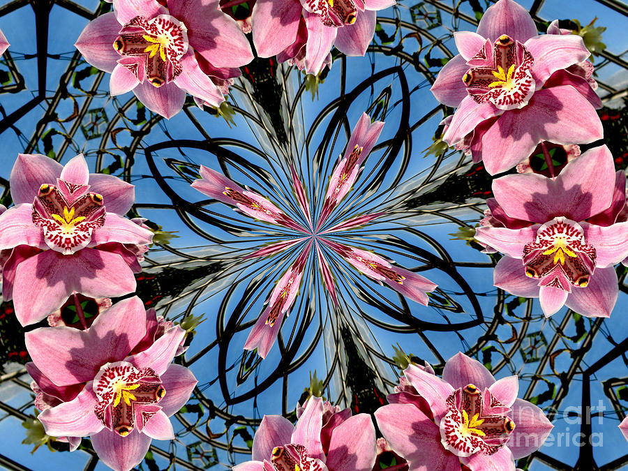 Pink Orchid Kaleidoscope 2 Photograph by Rose Santuci-Sofranko