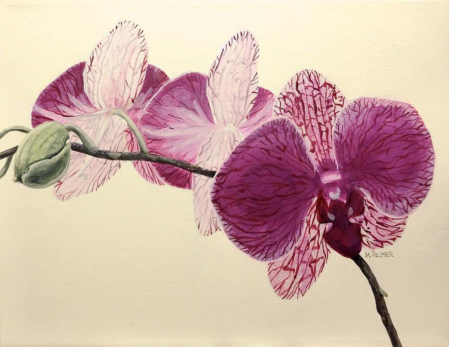 Pink Orchid Painting by Mary Palmer