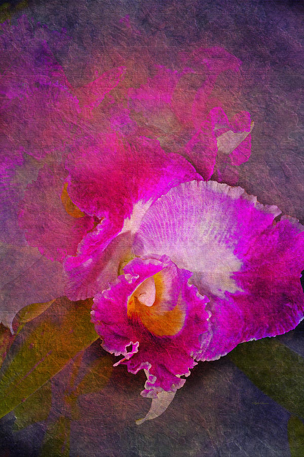 Pink Orchid Painterly Photograph by Phyllis Denton