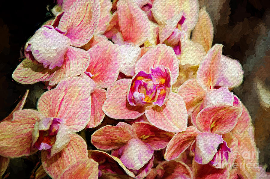 Pink Orchids Painterly Photograph by Andee Design