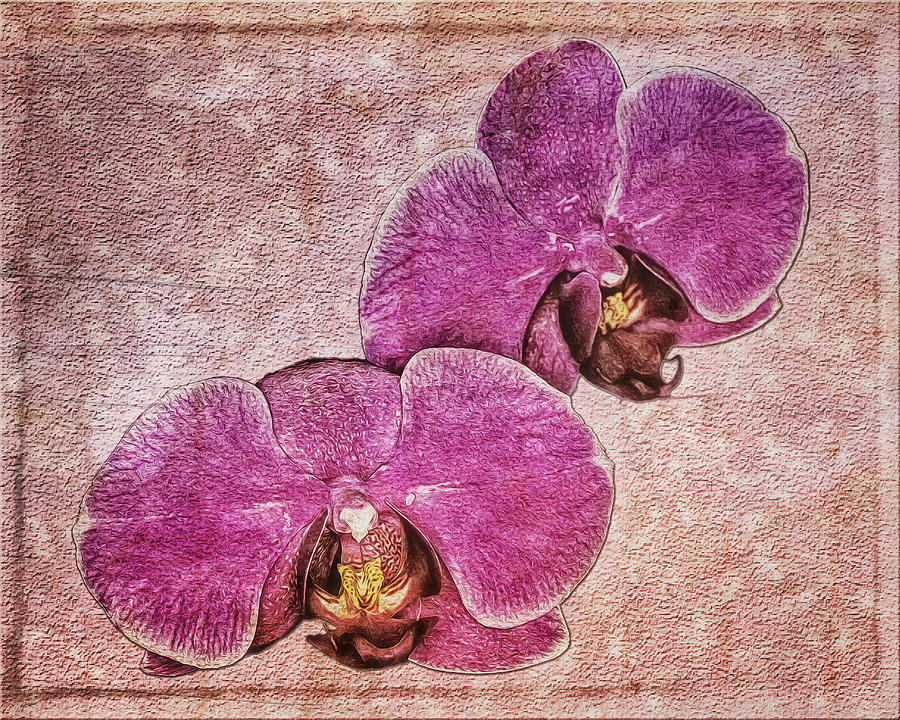 Pink Orchids Photograph by Pam DeCamp