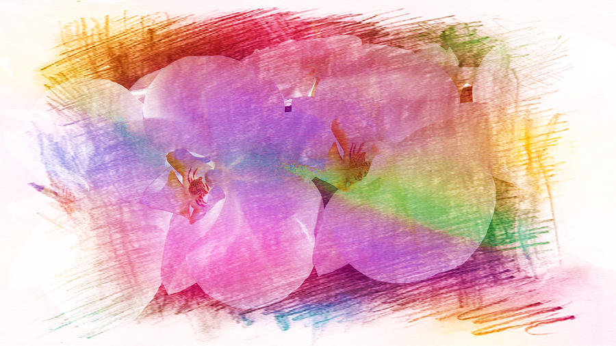 Pink Orchids Painting by Xueyin Chen
