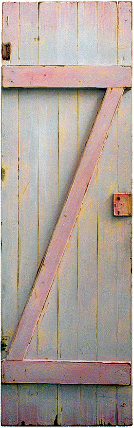 Pink Painted Z Door Painting by Asha Carolyn Young