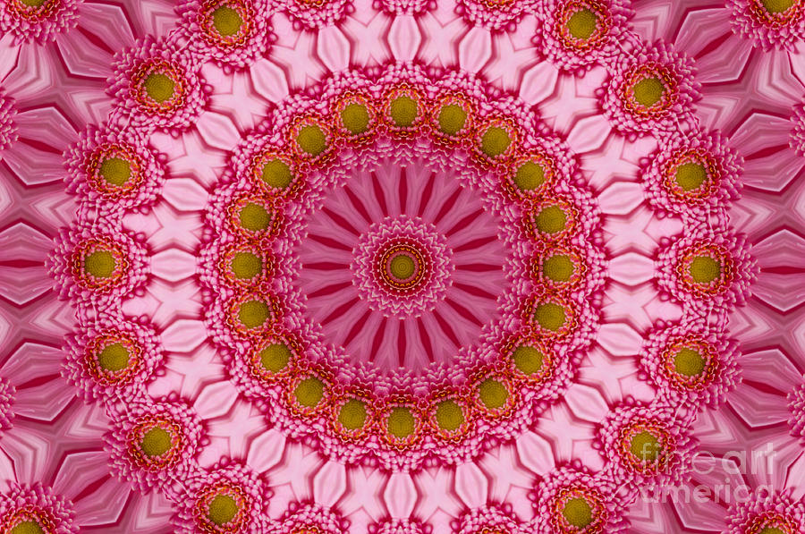 Flower Digital Art - Pink Passion by Bel Menpes