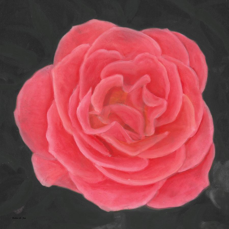 Pink Pastel Rose Pastel by Barbara St Jean
