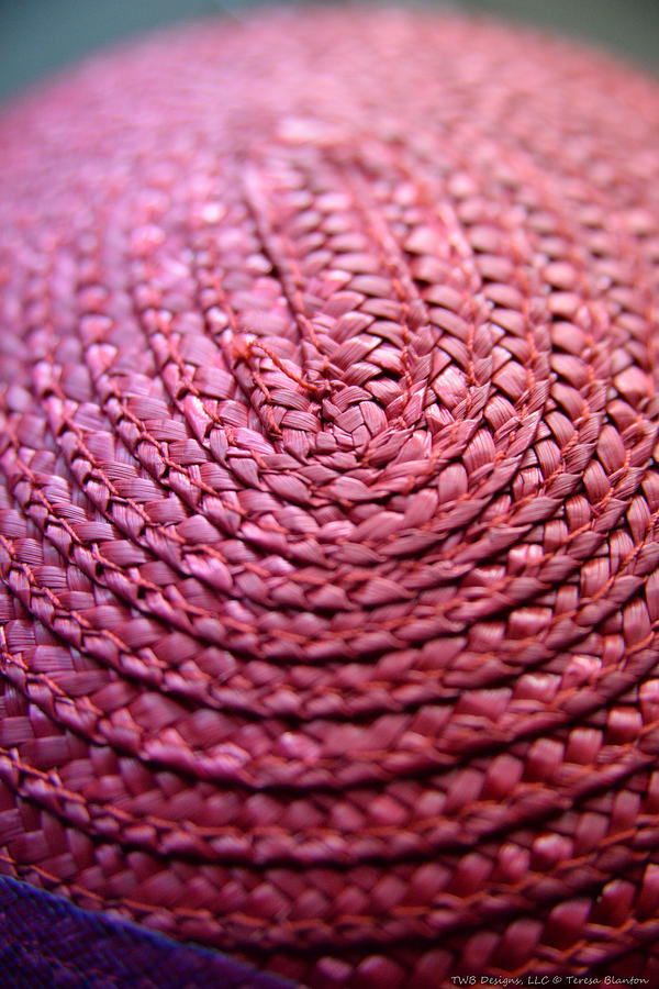 Pink patterned Photograph by Teresa Blanton