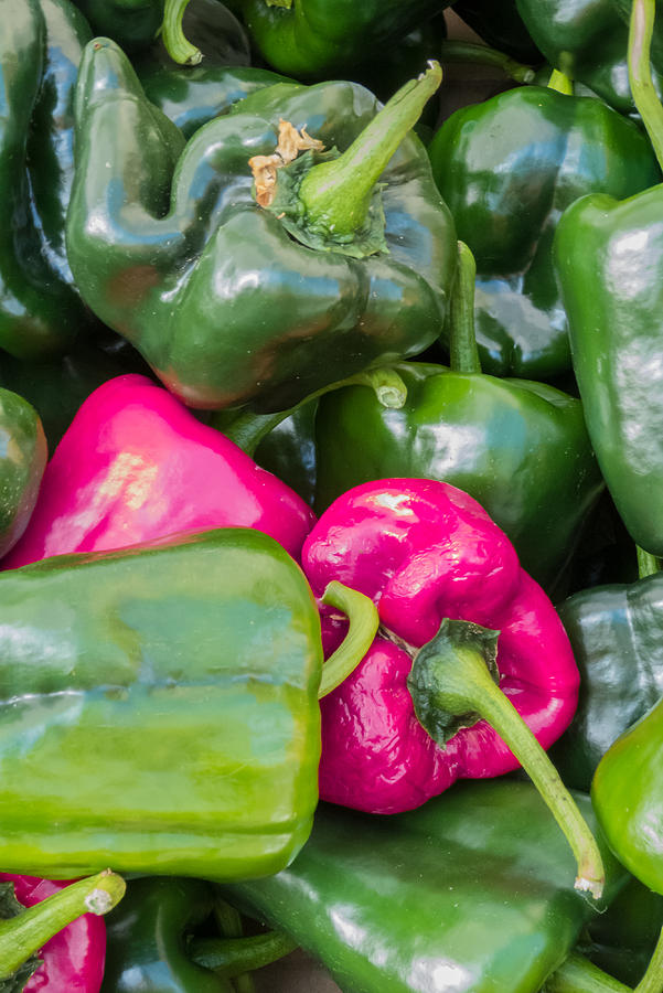 Pink Peppers Photograph by Susan Colby Fine Art America