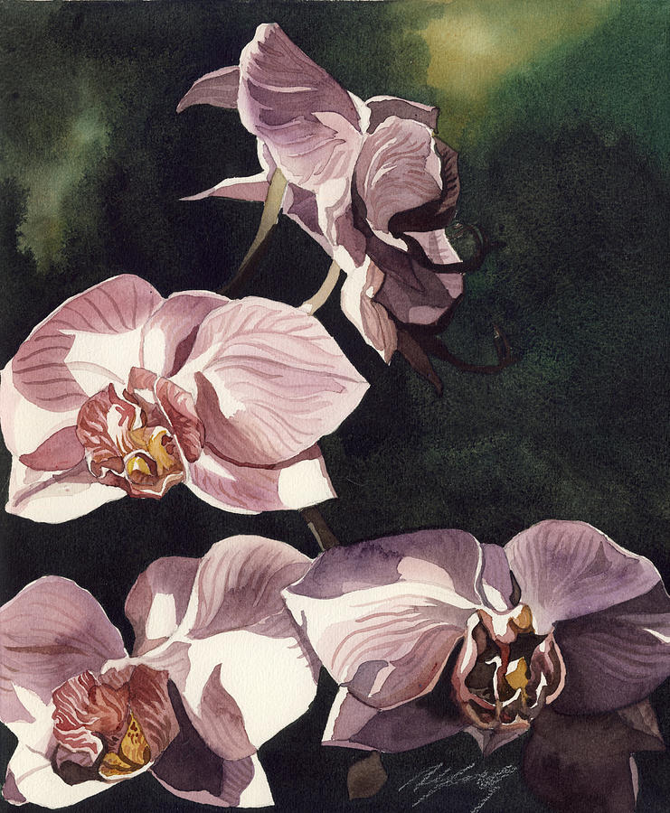 Pink Phalaenopsis Orchid Painting by Alfred Ng