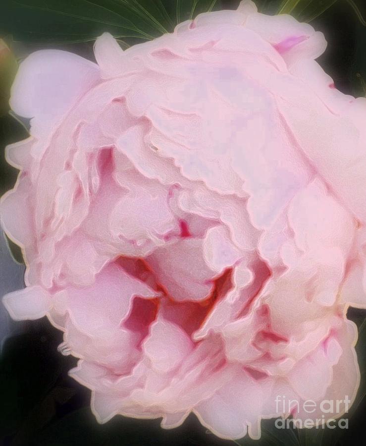 Nature Photograph - Pink Pink by Kathleen Struckle