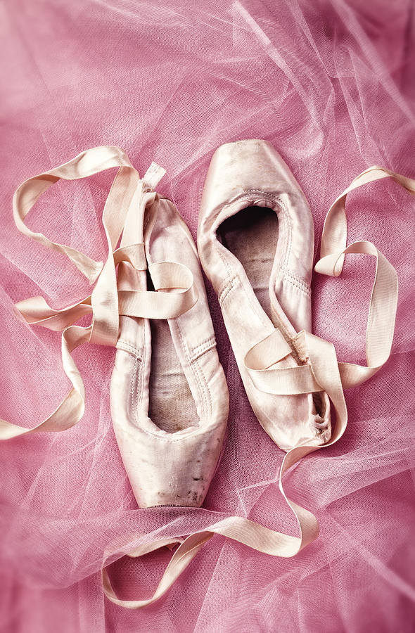 Still Life Photograph - Pink Pirouette by Amy Weiss