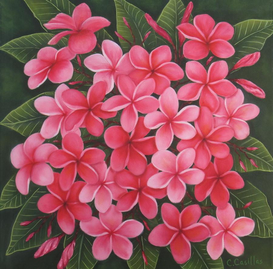 Pink Plumeria by Carmen Casillas