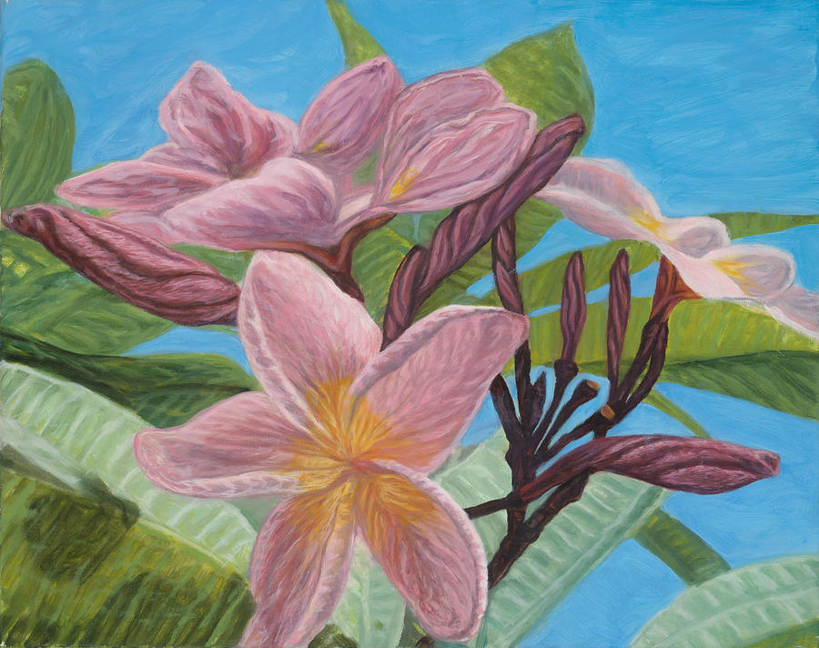 Pink Plumeria by Michael Allen Wolfe Pink Plumeria by Michael Allen Wolfe
