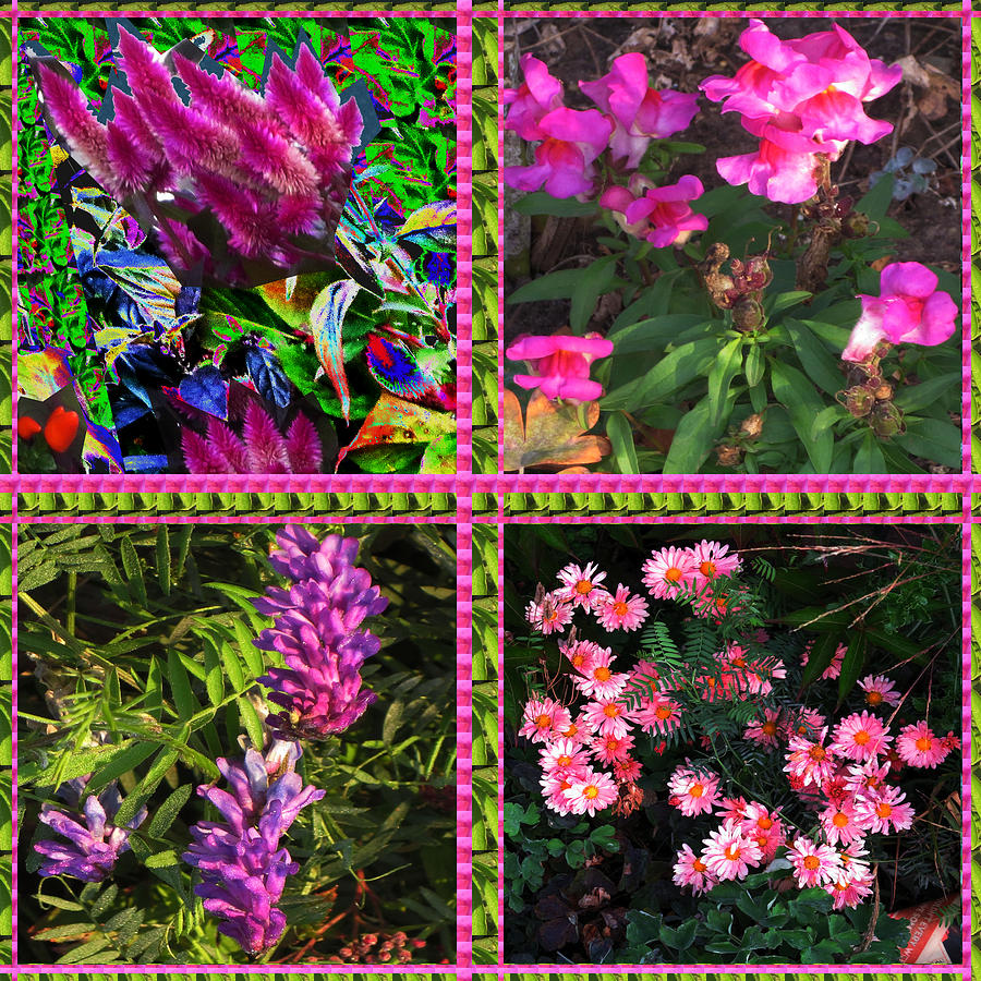 Pink Purple Flowers Captured At The Riverside Ridge At Oakville Ontario Canada Collage Beautiful Mixed Media