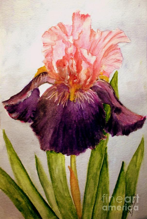 Pink/Purple Iris Painting by Carol Grimes