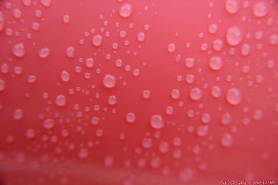 Pattern Photograph - Pink Rain by Teresa Blanton