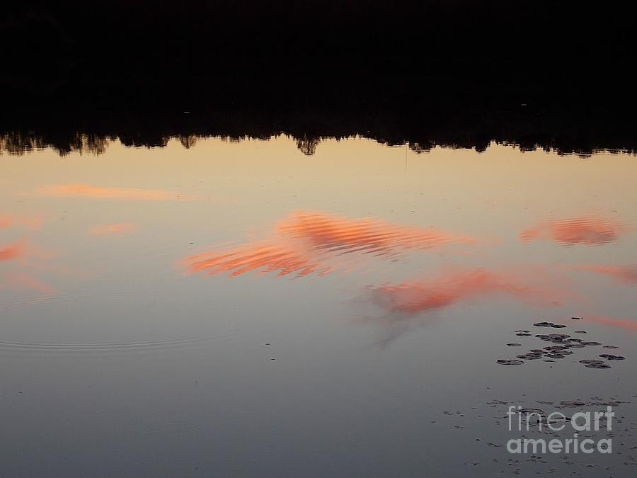 Pink Reflections Digital Art by Matthew Seufer