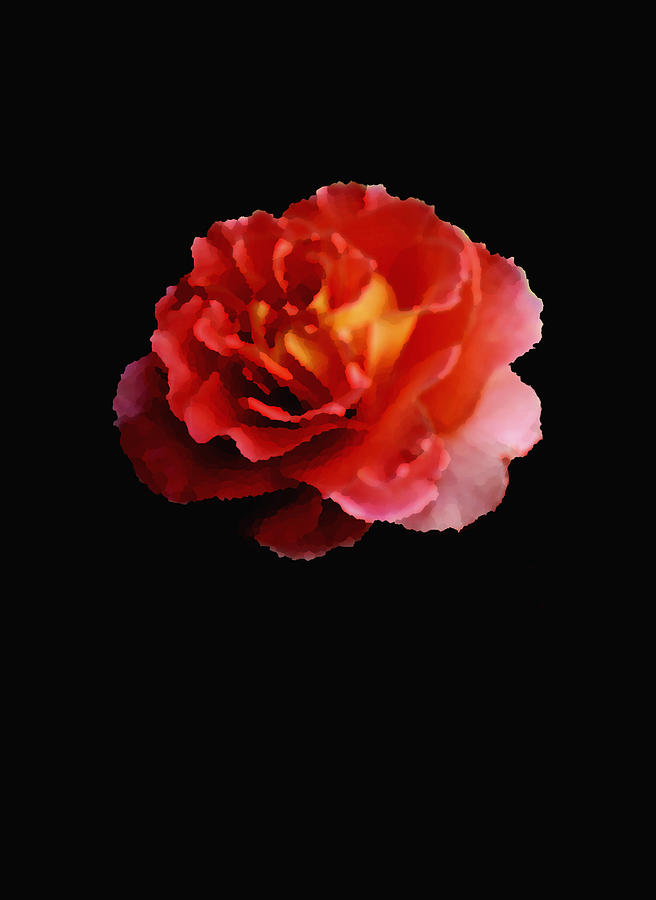 Pink Rose Digital Art by Ann Powell