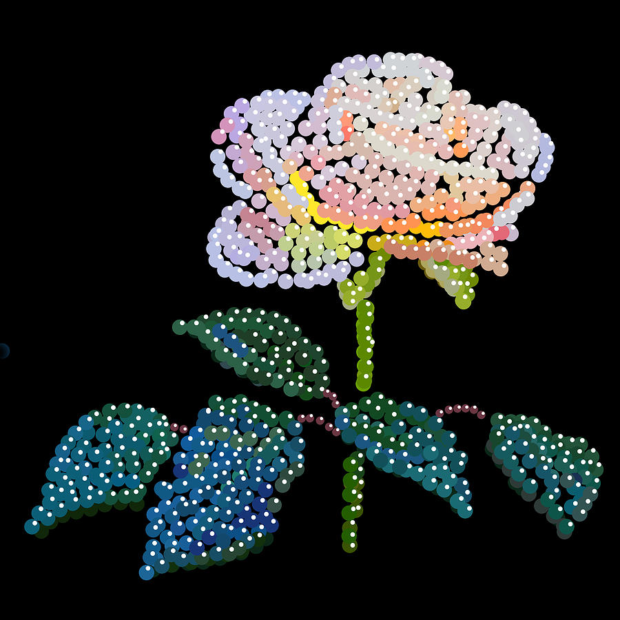 Pink Rose Bedazzled Digital Art by R  Allen Swezey
