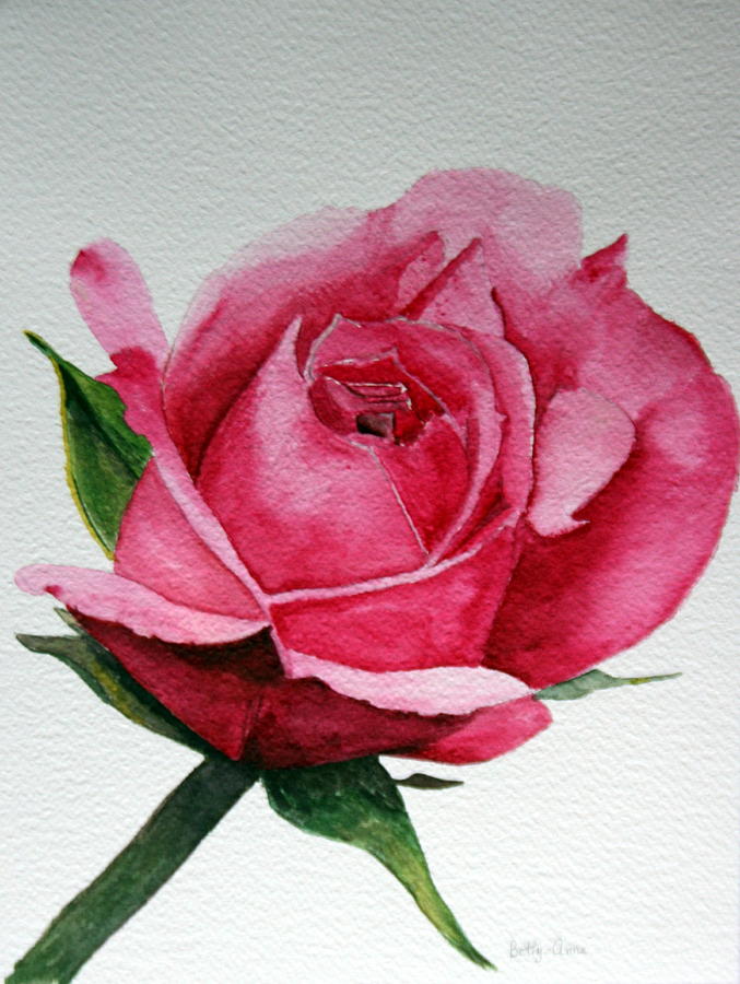 Pink Rose Painting by Betty-Anne McDonald