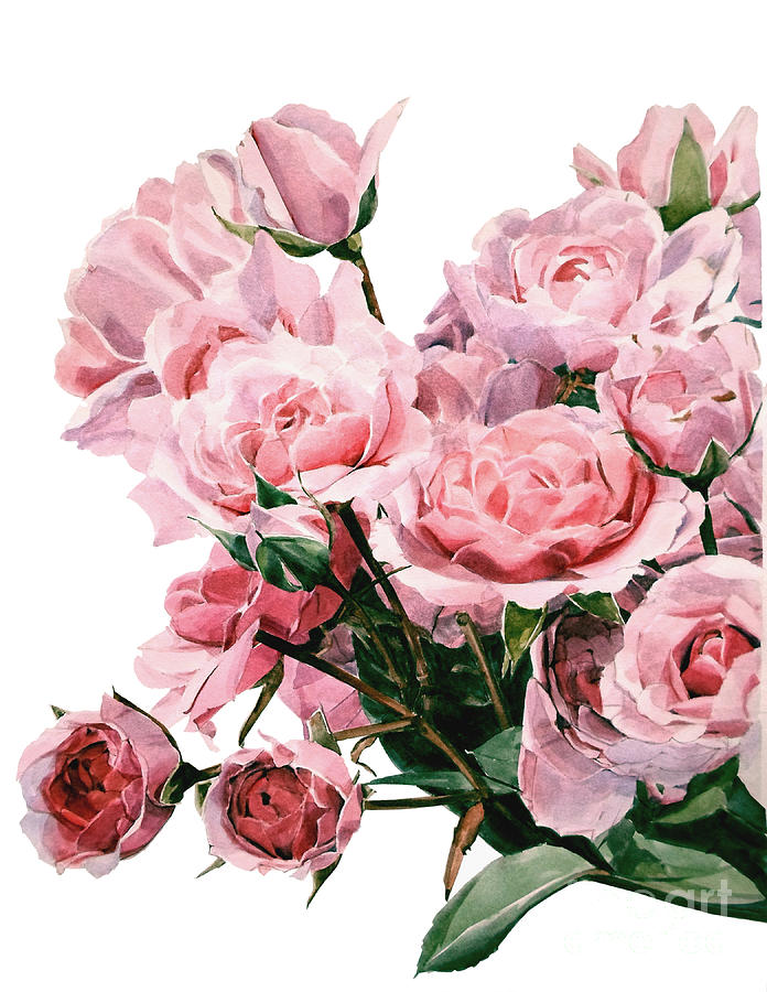 Watercolor of a Pink Rose Bouquet Painting by Greta Corens