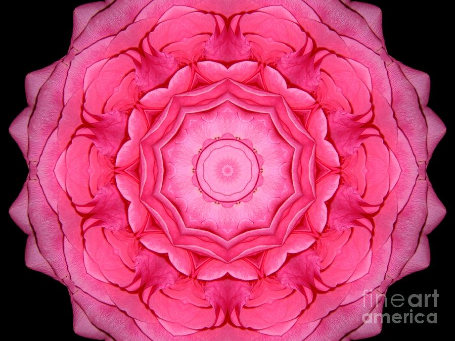 Pink Rose Bouquet Kaleidoscope Photograph by Rose Santuci-Sofranko