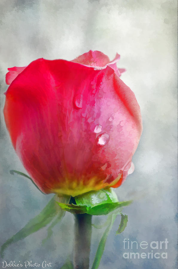 Pink Rose Bud - Digital Paint I Photograph by Debbie Portwood