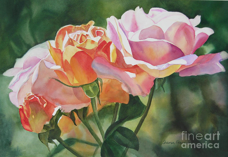 Pink Rose Buds and Blossoms Painting by Sharon Freeman