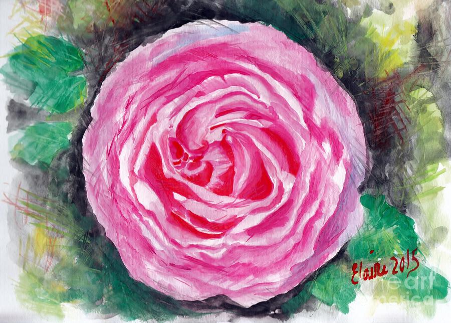 Pink Rose Painting by Elaine Berger