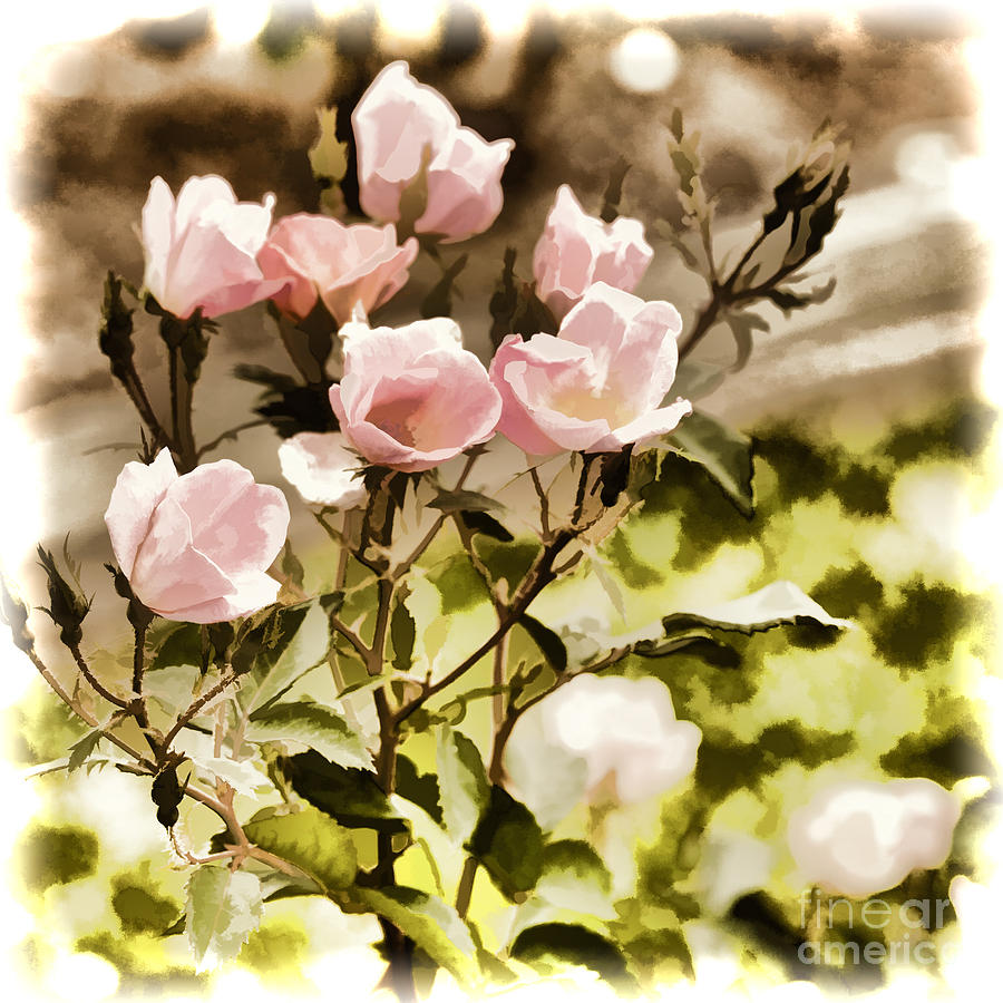 Pink Rose flower Painting Color 3221.02 Painting by M K Miller