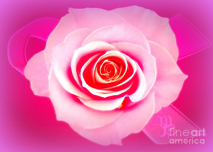 Pink Rose for Survivors  Digital Art by Mindy Bench