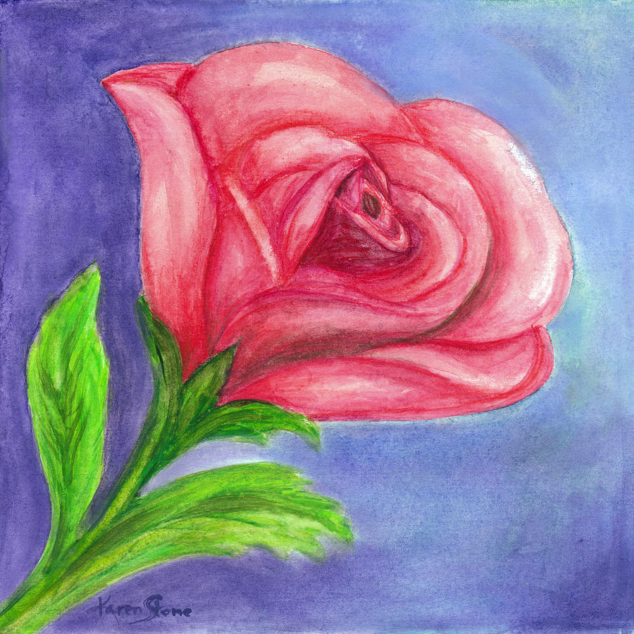 Pink rose in full bloom Painting by Karen Stone | Fine Art America