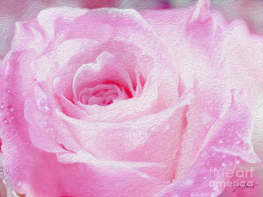 Pink Rose Mixed Media by Jon Neidert