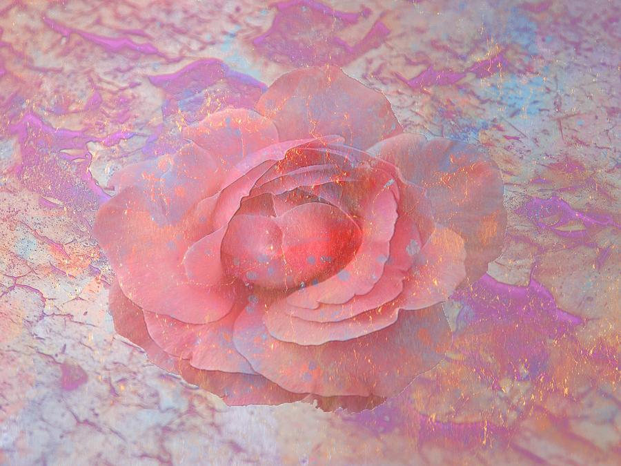 Pink Rose Digital Art by Louis Ferreira